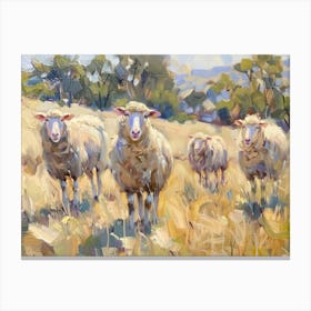 Sheep In The Grass 3 Canvas Print