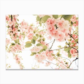 Cherry Blossom Branches Canvas Print