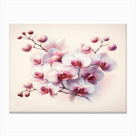 Orchids On Pink Canvas Print