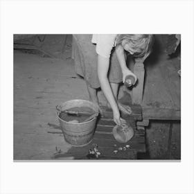 Daughter Of Tenant Farmer Living Near Muskogee, Oklahoma, Changing Water In Goldfish Bowl, Refer To General Canvas Print