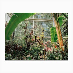 Botanical Tropical Garden  Canvas Print