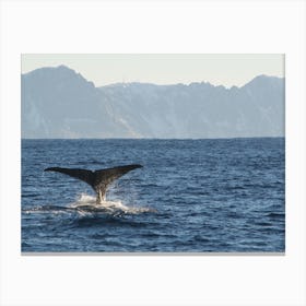 Humpback Whale Tail Canvas Print