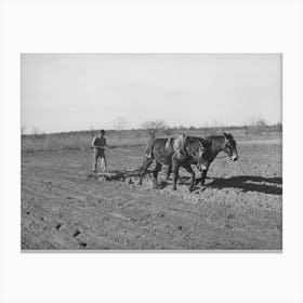 Son Of Pomp Hall, Tenant Farmer, Plowing, See General Caption Number 23, Creek County, Oklahoma By Russel Canvas Print