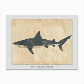 Port Jackson Shark Silhouette 6 Poster Canvas Print