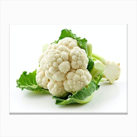 Cauliflower On White Background 1 Canvas Print