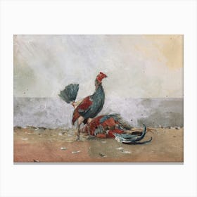 Vintage Roosters Canvas Print