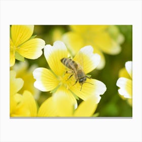 Bee On Yellow Flowers Stampe su tela