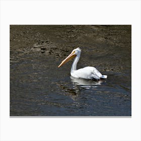 White Pelican on the Mississippi Canvas Print