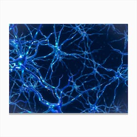 Neural Networks Type 18 Canvas Print