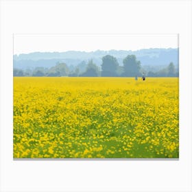 Buttercups Port Meadow Oxford Stampe su tela