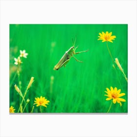 A Lush Grasshopper Leaps Across A Vibrant Oversaturated Meadow The Intense Green Hues Softened By (3) Canvas Print