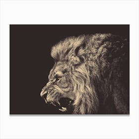 Angry Male Lion Canvas Print