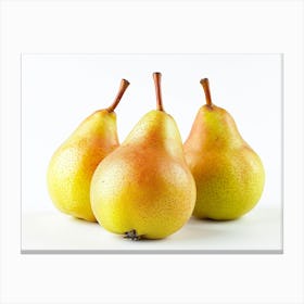 Three Pears Isolated On White 1 Canvas Print