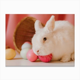 Easter Bunny 7 Canvas Print