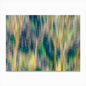 Abstract Trees 202304161311137rt1pub Canvas Print