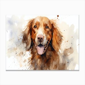 Irish Setter Canvas Print