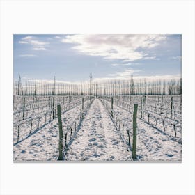 Unitltled 16 - Snow in the Vineyard Series Canvas Print