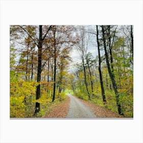 Autumn Road 18 Canvas Print