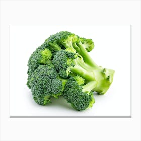 Close Up Of Broccoli Canvas Print