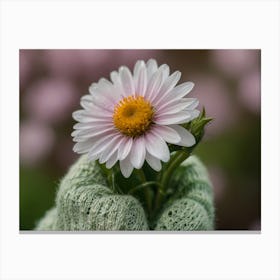 Daisy In Mitten Canvas Print