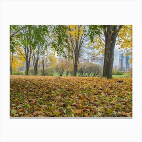 Autumn Leaves In The Park Canvas Print