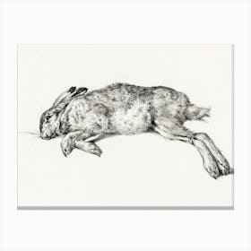 Dead Hare, Jean Bernard Canvas Print