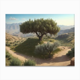 Olive Trees Spanning The Hilly Terrain Canvas Print