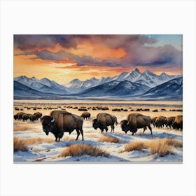 Bison Herd Winter Mountains Canvas Print