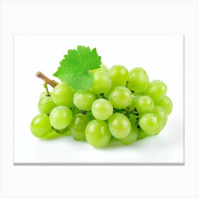 Green Grapes Isolated On White 1 Canvas Print