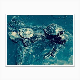 Turtles Canvas Print