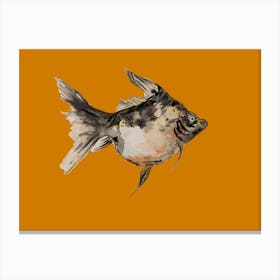 Fat Fish Brown Canvas Print