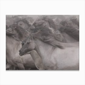 Wildhorses Canvas Print