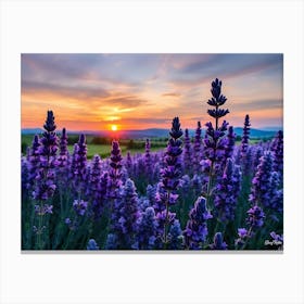 Sunset Over Lavender Field 2 Canvas Print