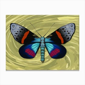 Mechanical Butterfly The Milionia Grandis On A Olive Background Canvas Print