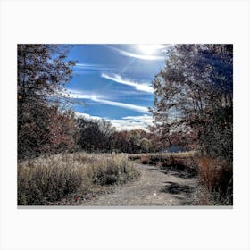 Trail Through The Woods Canvas Print