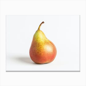 Pear On White Background 1 Canvas Print