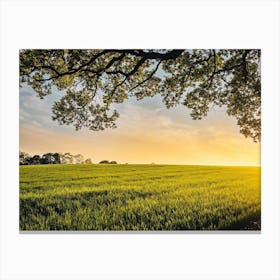 Sunset Field Canvas Print