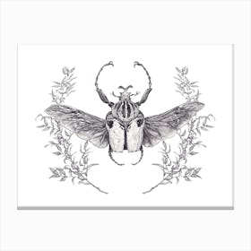 Goliath Beetle Canvas Print