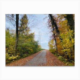 Autumn Road 16 Canvas Print