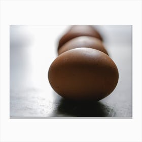 Row Of Brown Eggs 1 Canvas Print