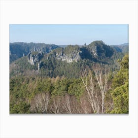 Forest and sandstone rocks in Saxon Switzerland Canvas Print