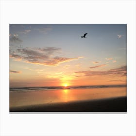 Sunset with Bird in Costa Rica Canvas Print