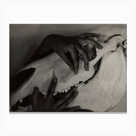 Georgia O’Keeffe Hands And Horse Skull, Alfred Stieglitz Canvas Print