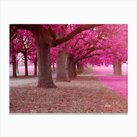 Pink Trees Canvas Print