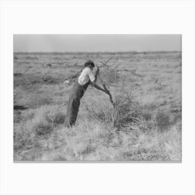 Untitled Photo, Possibly Related To Carrying Mesquite To Be Burned In Process Of Clearing Land, El Indio, Texas Canvas Print
