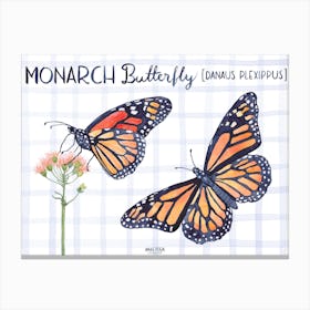 Monarch Canvas Print