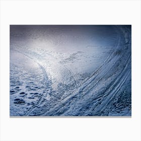 Ice Texture 2 Canvas Print