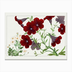 Red Geraniums Canvas Print