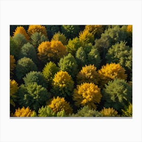 Autumn Trees In The Forest Canvas Print