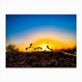 Ant Colony Cooperating Harmoniously Silhouetted Against A Radiant Sunset Amber And Crimson Hues Me (3) Canvas Print